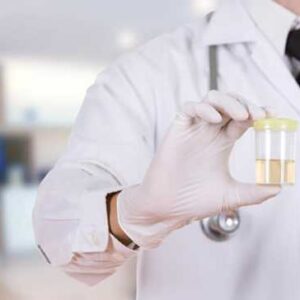 DOT Drug and Alcohol Class for Employees